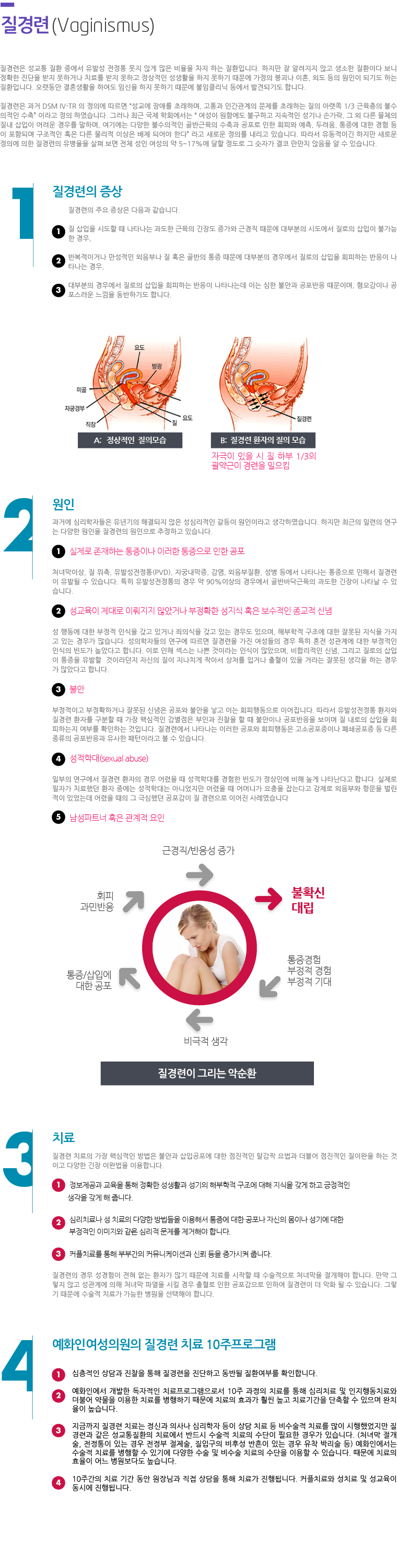 유발성전정통(외음전정염)
