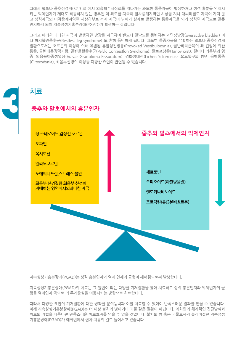 지속성생식기흥분장애