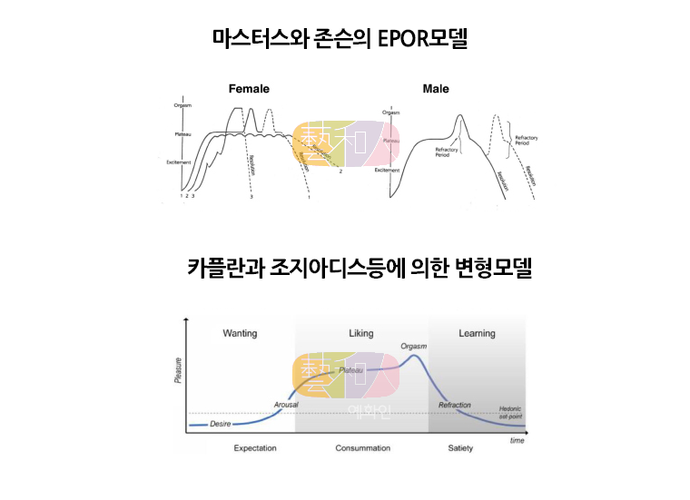 여성성관심/흥분장애